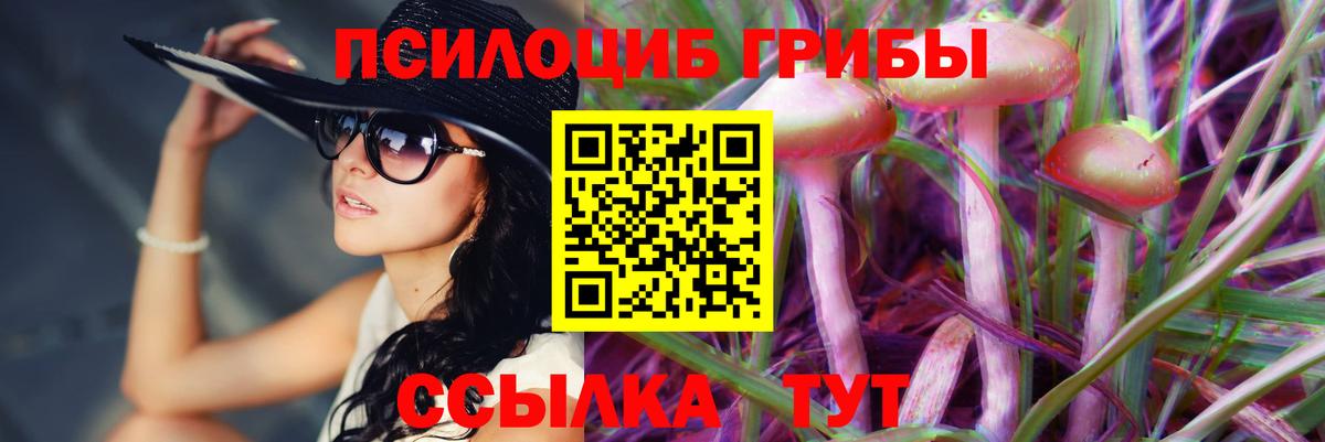 Ижевск  Галлюциногенные грибы Psilocybe  Вход с VPN 